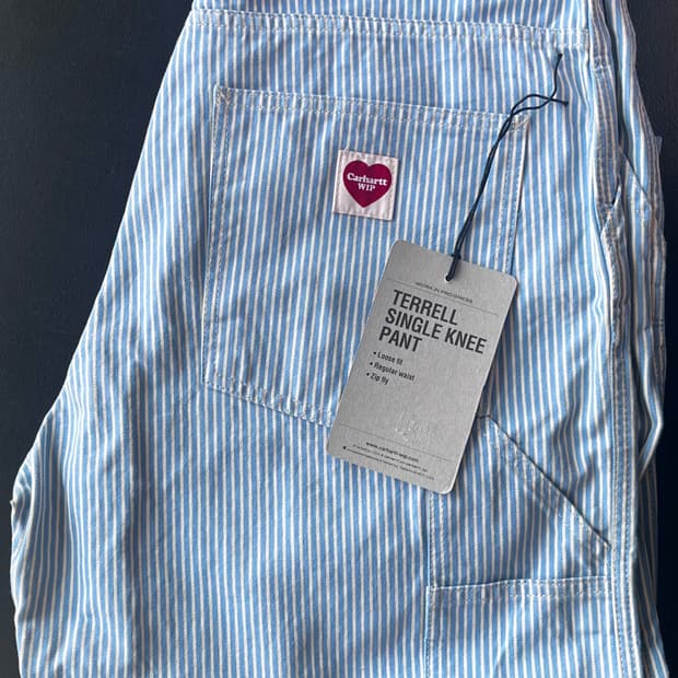 칼하트 WIP 테렐 싱글 니 팬츠