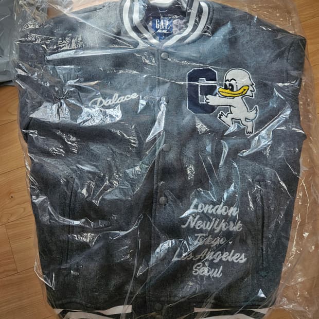 팔라스 갭 바시티 자켓