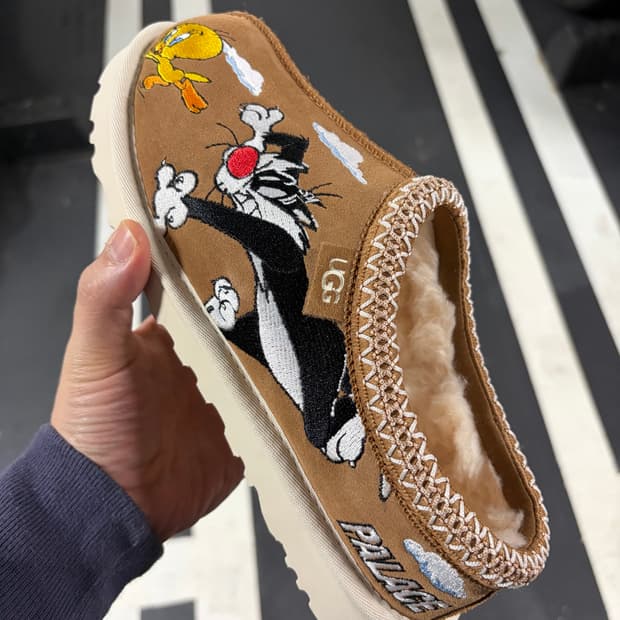 팔라스 어그 타스만 ,울트라 미니 260 판매