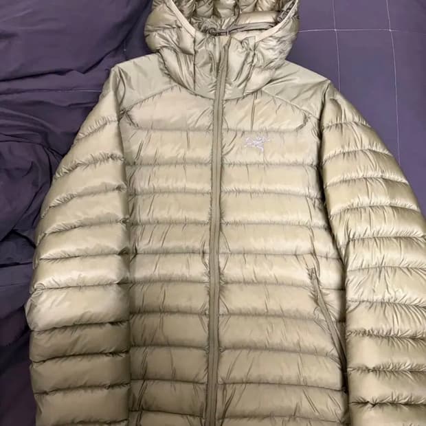 아크테릭스 세륨 후디 LT m