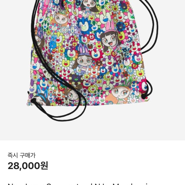 뉴진스 가방