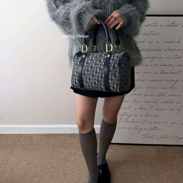 디올 오블리크 보스턴백 25