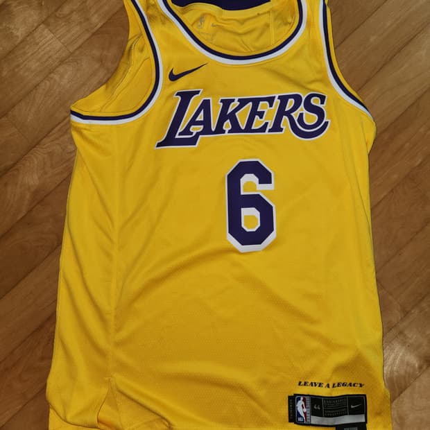 Nike LeBron James LA Lakers Icon Edition