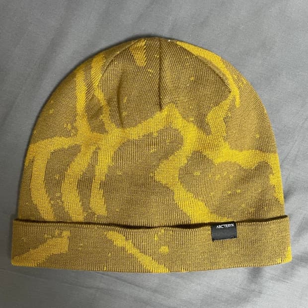 아크테릭스 비니