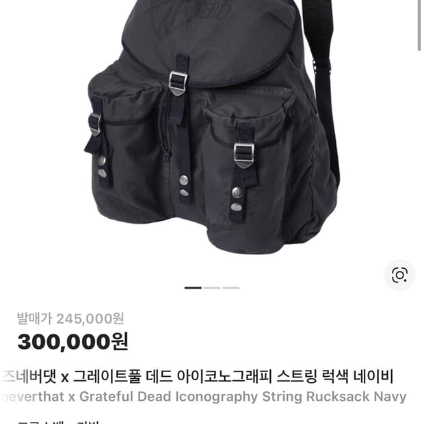 디스이즈네버댓 그레이트폴 백팩 판매합니다