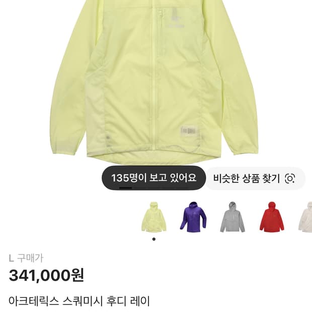 [L]아크테릭스 스쿼미시 후디 레이