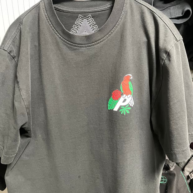 팔라스 앵무새 반팔티