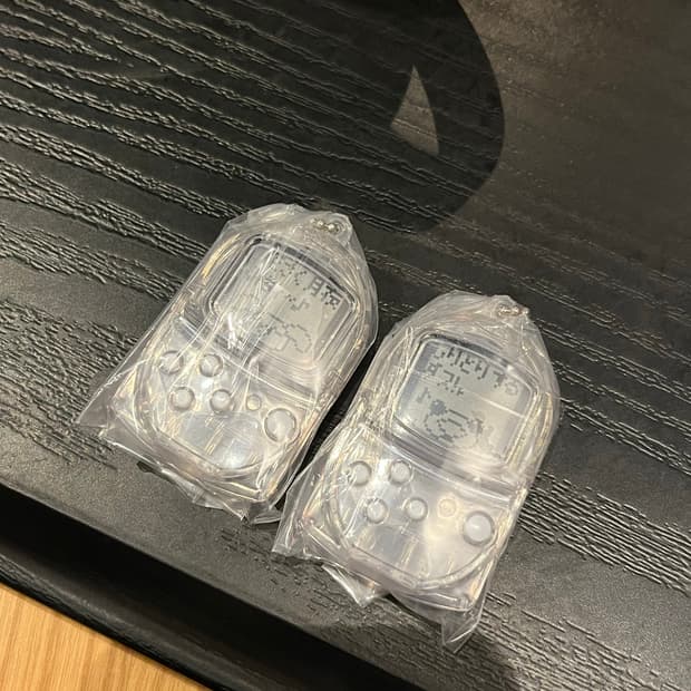 도코데모잇쇼 포켓스테이션 가챠