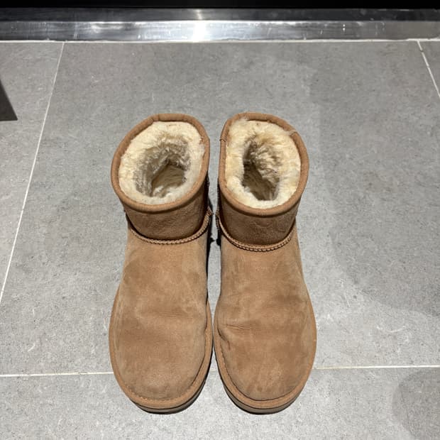 어그 ugg 클래식미니 체스트넛 240