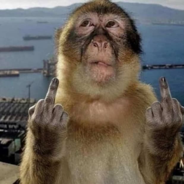 조현진 팝니다.