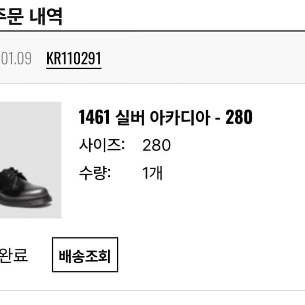 1461 실버 아카디아-280