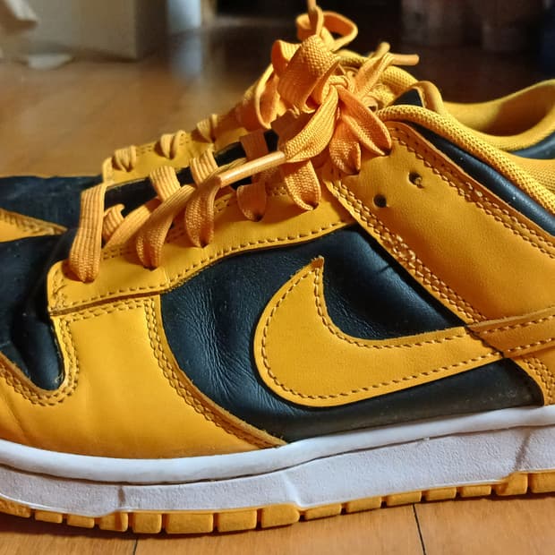 나이키 덩크로우 골드로드 270
