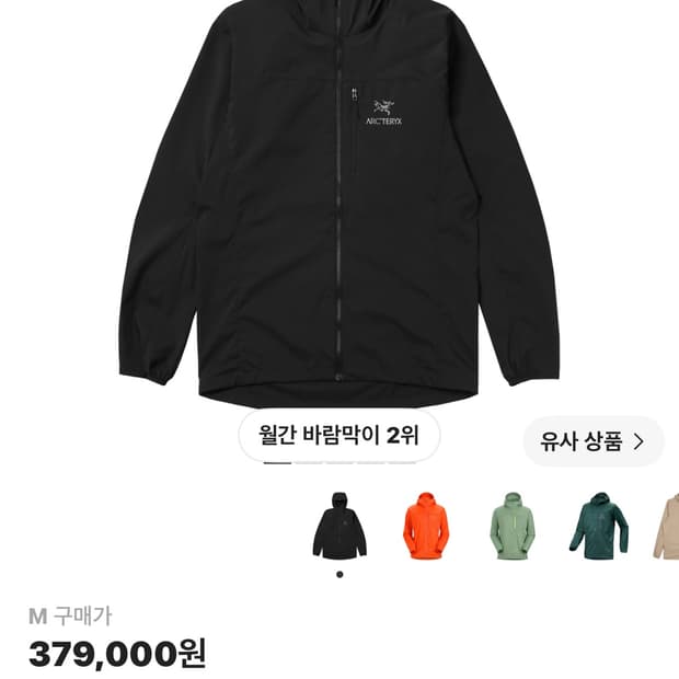 아크테릭스 스쿼미시 후디 L