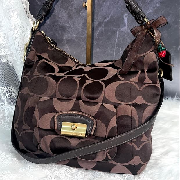 Coach Cocoa Signature 2-Way Hobo