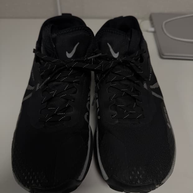 나이키 리액트 페가수스 트레일 4 고어텍스 블랙 울프 그레이 280