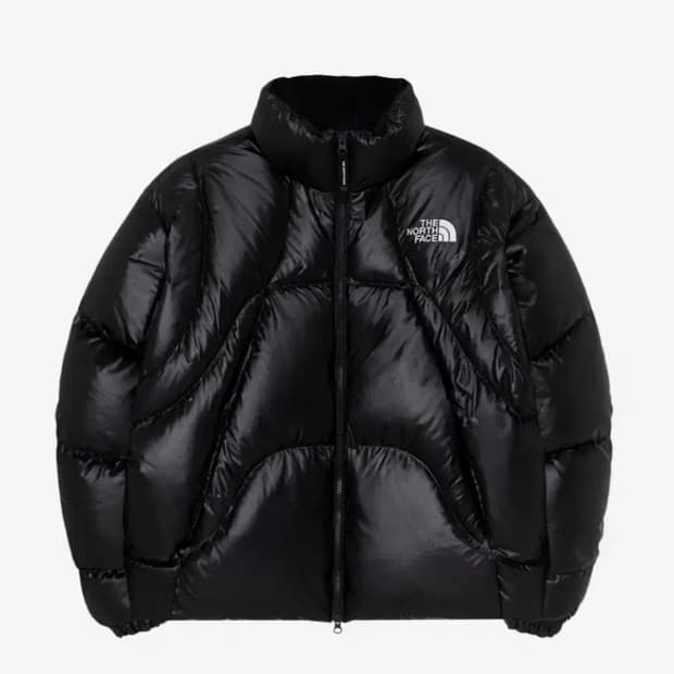 노스페이스 화이트라벨 웨이브 rds 다운 패딩 s구합니다