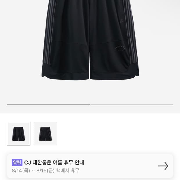 폴리테루 반바지