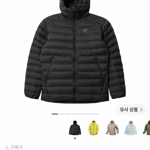 아크테릭스 세륨 후디 블랙 L