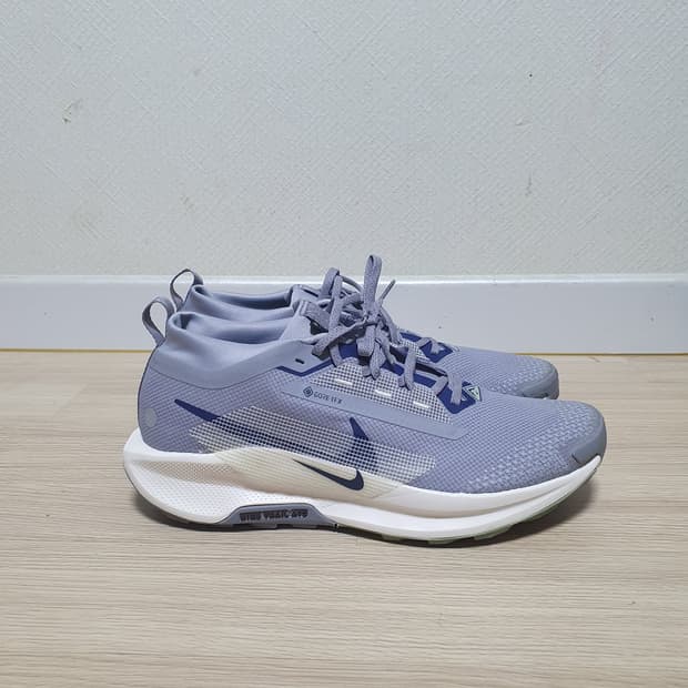 나이키 페가수스 트레일 5 고어텍스 290