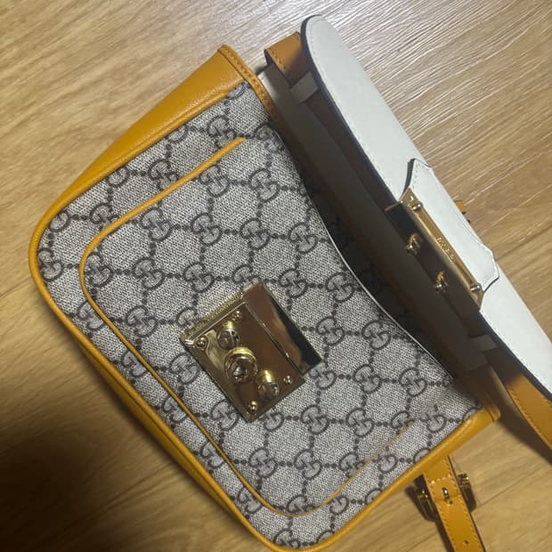 패들락 스몰 GG 수프림 캔버스 체인 숄더백 화이트