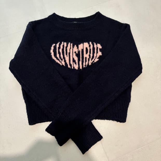 러브이즈트루 니트