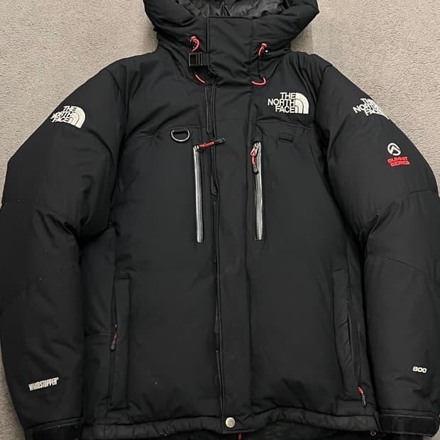 노스페이스 히말라야 처분 