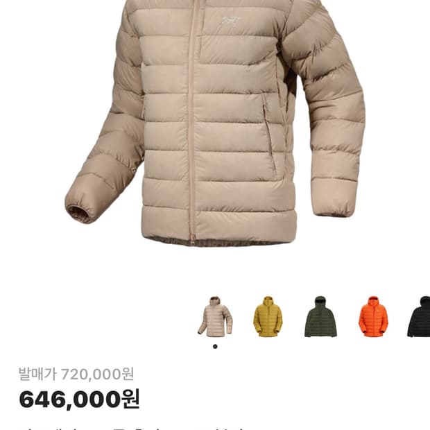 아크테릭스 토륨 스모크 블러프