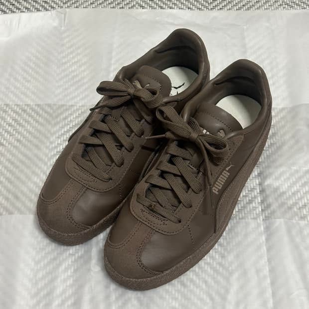 푸마 클럽 SD FS 초콜릿:타우페