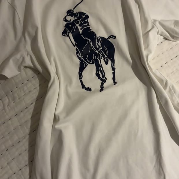 대대희귀매물) 폴로 대대장템 빅포니 반팔 티셔츠 판매 