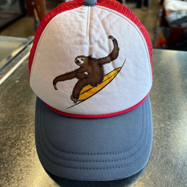 Patagonia 빈티지 서핑 나무늘보 메쉬 캡