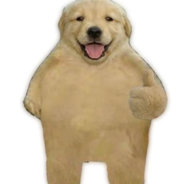 사랑하다 빈티지 빅포니 후드집업 및 카라티 신상 안내