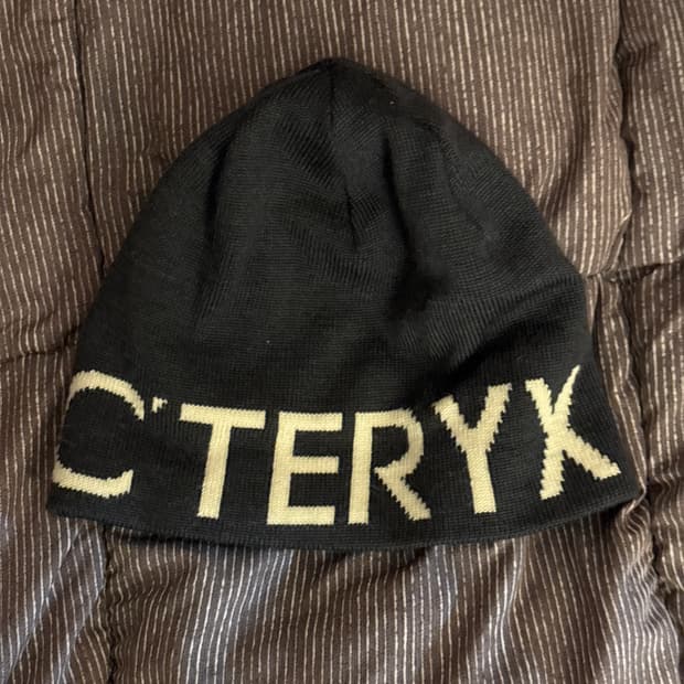 아크테릭스 비니