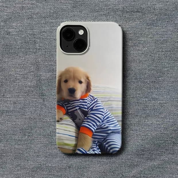 Phone case