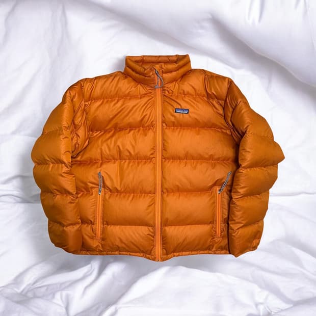 Patagonia Goose Down Jacket