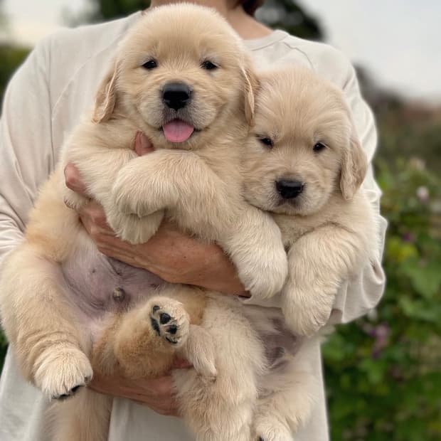 서x아 님 결제창