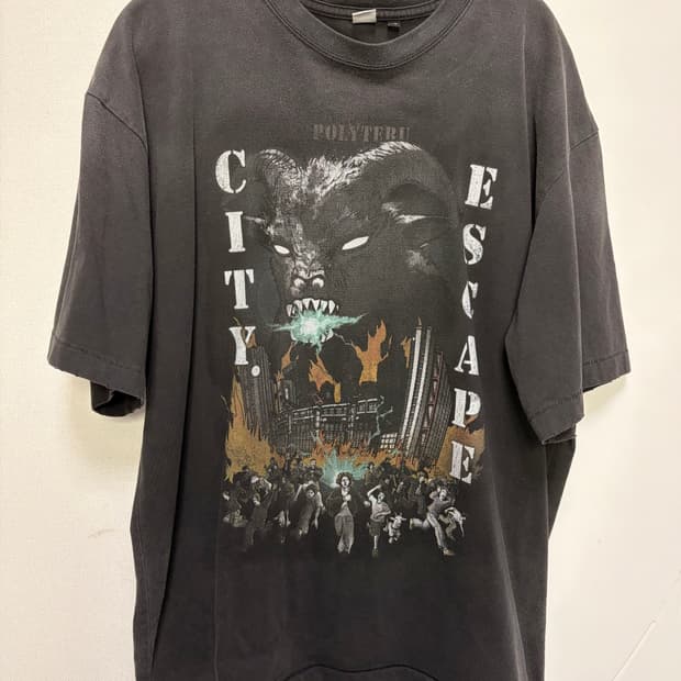 (3)폴리테루 더현대 기념티 