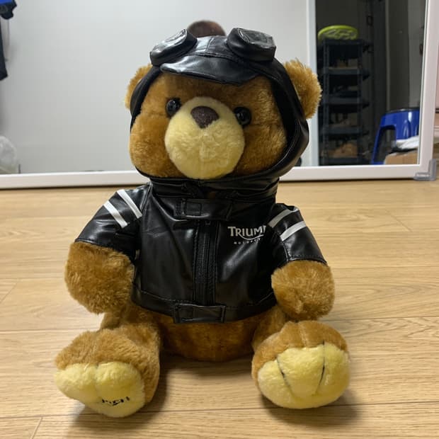 Triumph 트라이엄프 테디베어