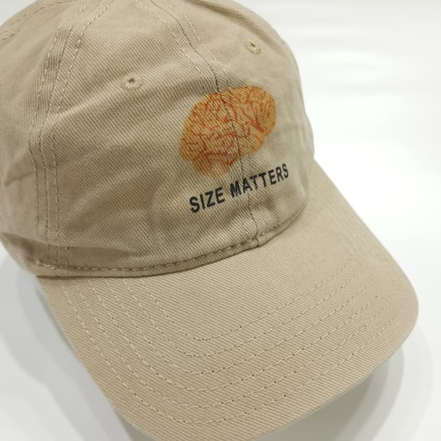 Brain Size Matter Beige 볼캡 P1305