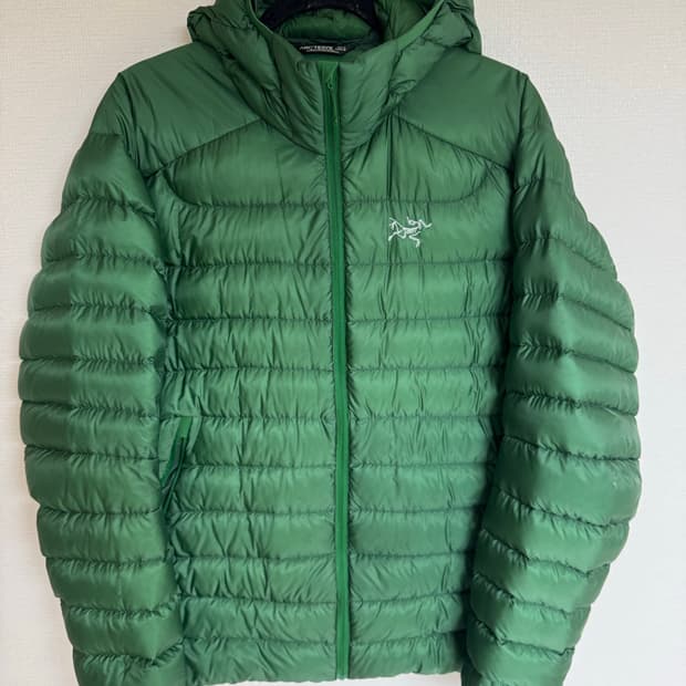 L 아크테릭스 세륨 LT 후디 패딩 캐년그린 프랭크오션