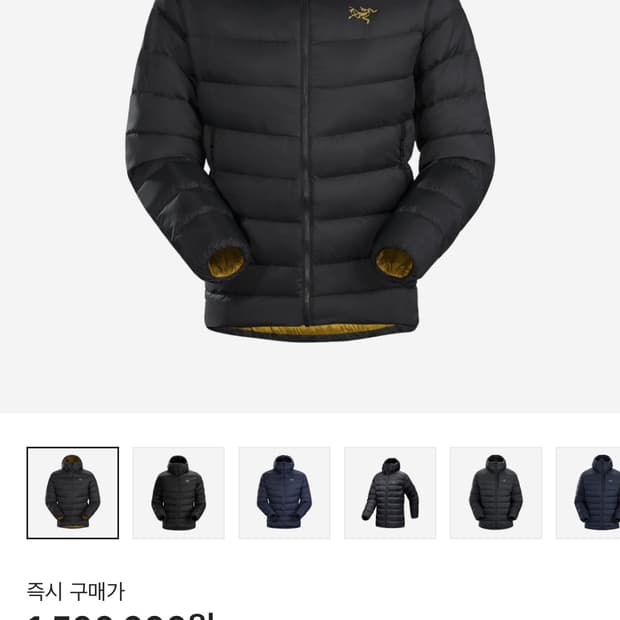Arc'teryx Thorium AR Hoody 24K Black