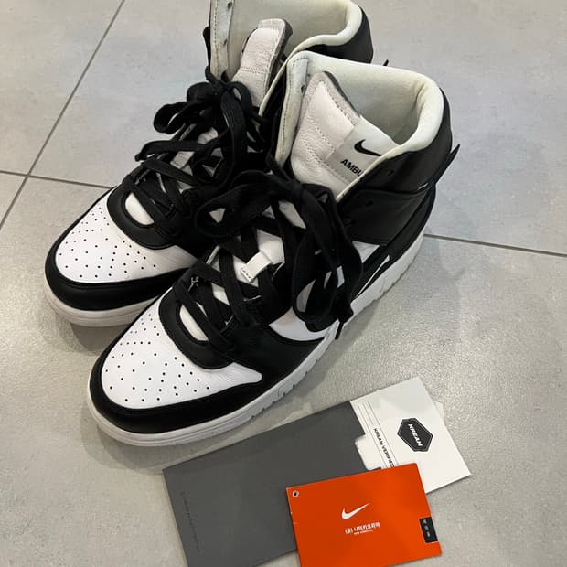 나이키 x 앰부쉬 덩크하이 270