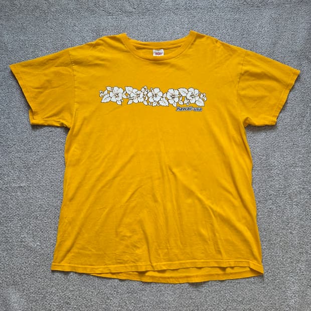 Fruit Of The Loom 빈티지 반팔 티셔츠 XL(105)