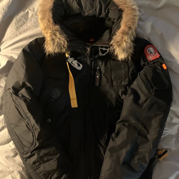 파라점퍼스 고비