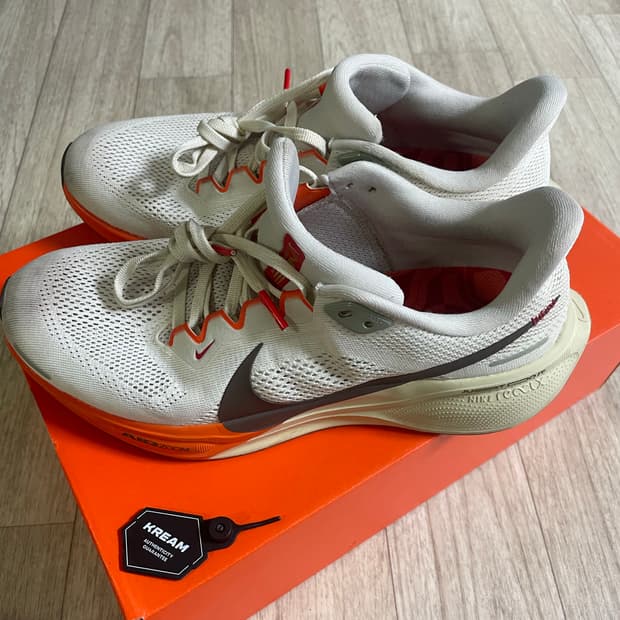 나이키 페가수스 41 세일 라이트 카키 260 러닝화