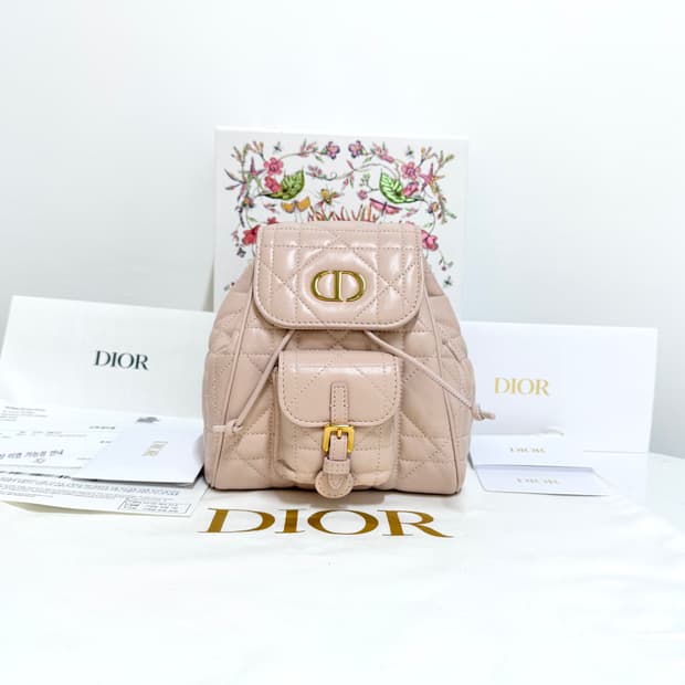 디올 카로 백팩