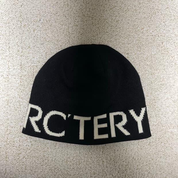 아크테릭스 비니