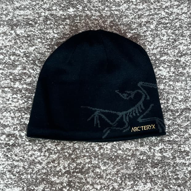 아크테릭스 비니