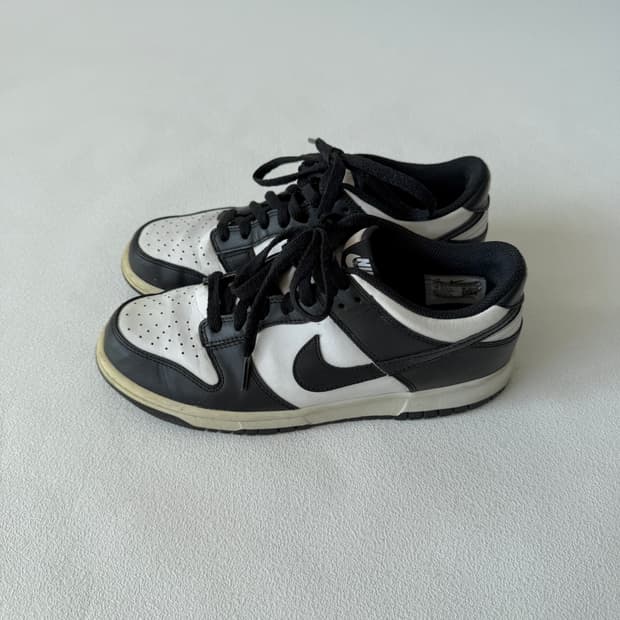 [245]나이키(NIKE) 덩크로우 범고래