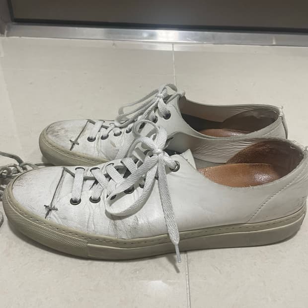 부테로 타니노 화이트(260)