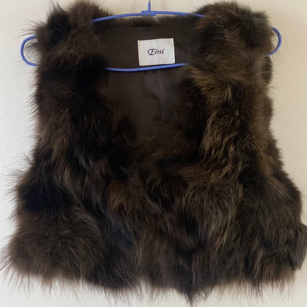 Eini 폭스 퍼 베스트